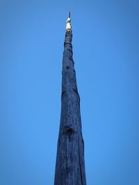 Low angle view of tree against blue sky