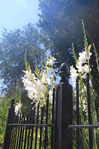 Rear view of person standing by railing against sky