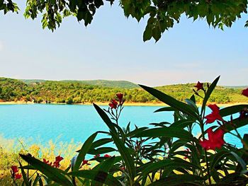Scenic view of lake against clear sky