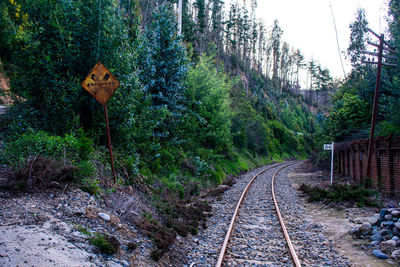 Railroad tracks amidst trees in forest