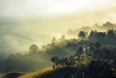 Idyllic landscape at sunset