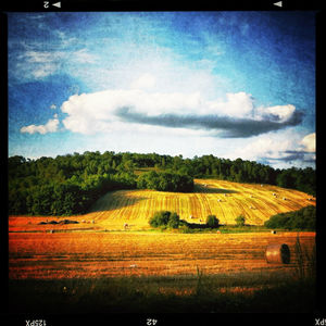 Scenic view of landscape against sky