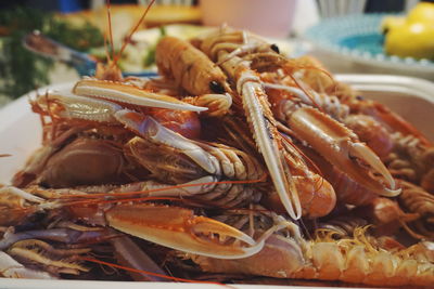 Close-up of prawns served in plate