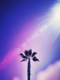 Low angle view of silhouette palm tree against sky