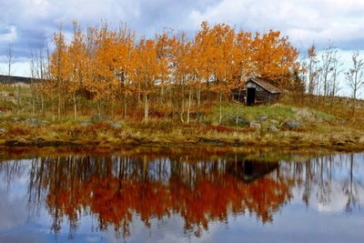 Reflection of trees in lake