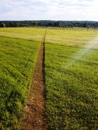 Scenic view of field against sky
