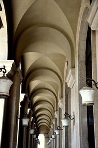 Low angle view of architectural columns