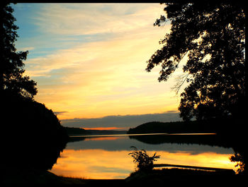 Silhouette of trees at sunset