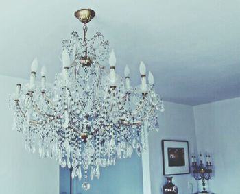 Close-up of white flowers