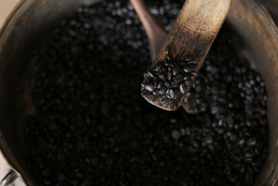 Close-up of hand holding coffee beans