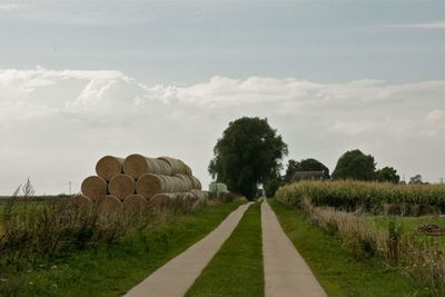 Road amidst agricultural field against sky