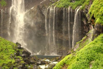 Scenic view of waterfall in forest