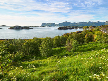 Scenic view of sea against sky