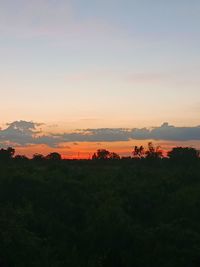 Scenic view of trees on field against sky at sunset