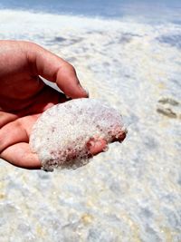 Close-up of hand holding sea shore