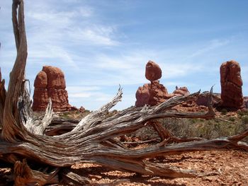 Driftwood on rock formations in desert against sky