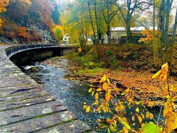 Bridge over river in forest during autumn