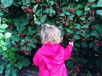 Rear view of girl touching mulberry growing outdoors