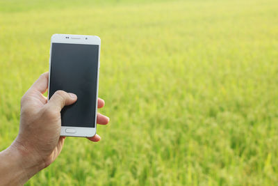 Hand holding mobile phone in field