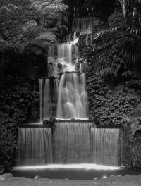 Water splashing on rocks in forest