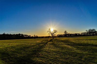 Scenic view of field against sky during sunset