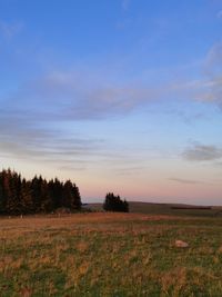 Scenic view of field against sky during sunset