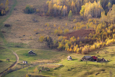 Scenic view of field and trees during autumn