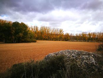 Scenic view of field against sky