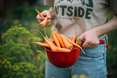 Woman holding organic carrots from backyard garden