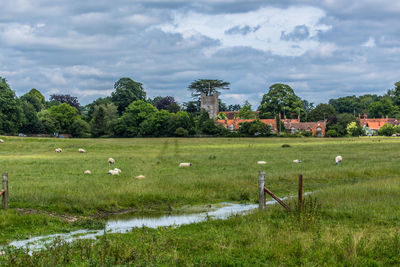 Scenic view of grassy field against cloudy sky