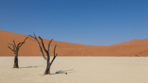 Scenic view of desert against clear blue sky