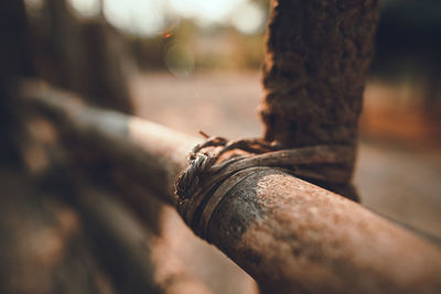 Close-up of wooden fence