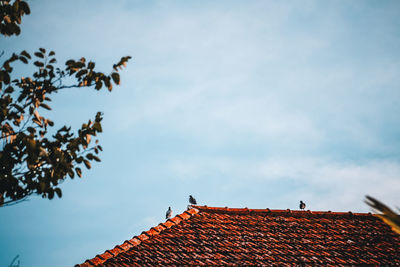 Low angle view of building roof against sky