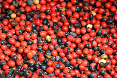 Full frame shot of fruits