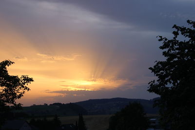 Silhouette trees on landscape against sky at sunset