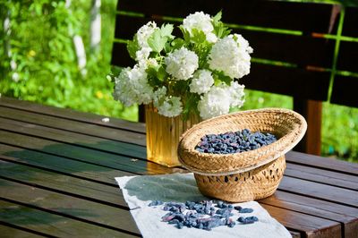 Close-up of white flowering plant on table