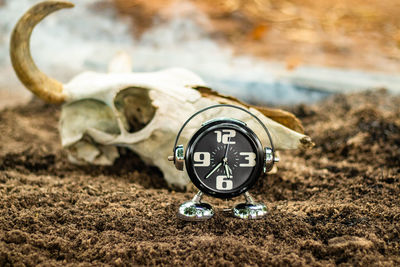 Close-up of clock on the ground