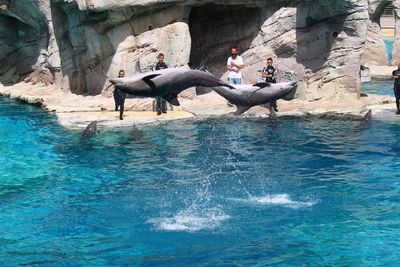 People jumping in swimming pool