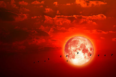 Silhouette birds flying against orange sky