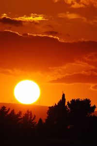 Silhouette trees against orange sky