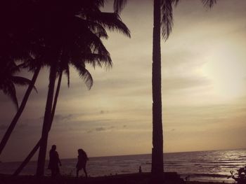 Silhouette of palm trees on beach