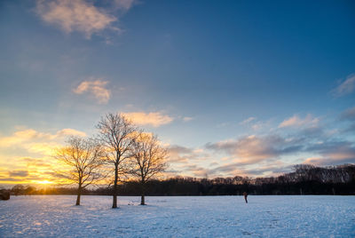 Bare trees on snow covered field against sky during sunset