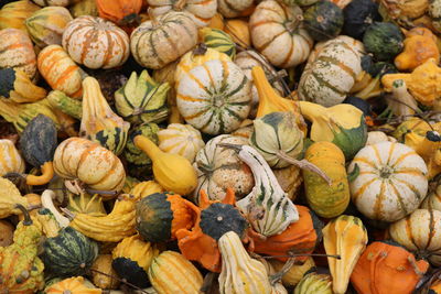 Full frame shot of pumpkins