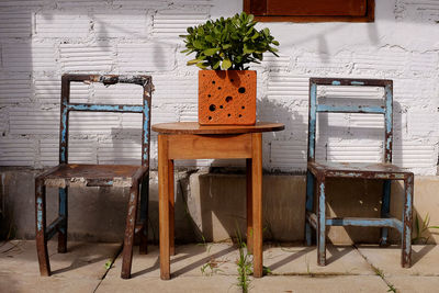 Potted plants on chair