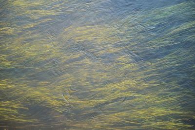 Full frame shot of rippled water