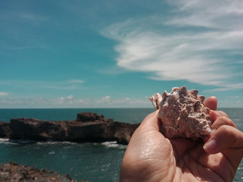 Shells and a beautiful beach