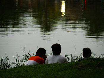 Rear view of ducks in lake