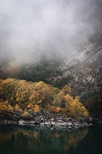 Aerial view of lake in forest during autumn