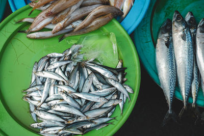 High angle view of fish for sale in market