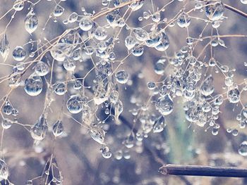 Close-up of frozen water